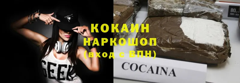 где купить   Арамиль  COCAIN Fish Scale 